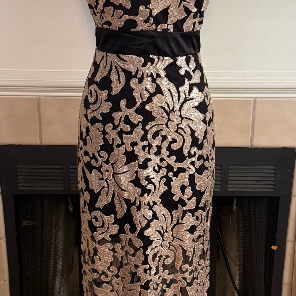NEW Rose Gold and Black Floral Lace Dress